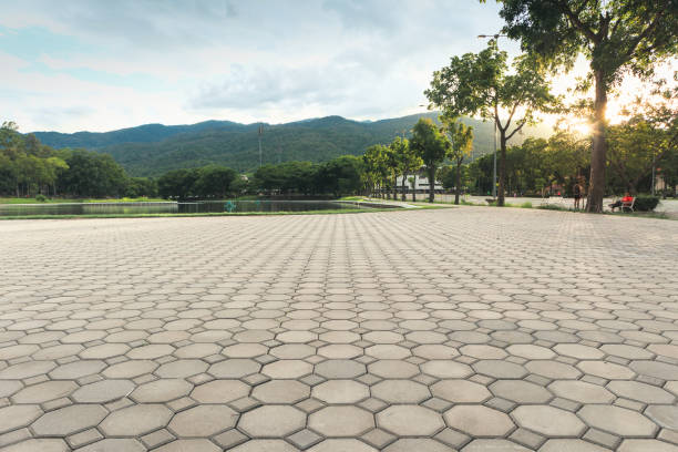 Best Interlocking Driveway Pavers  in Portland, TN